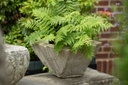 Geometric Planters