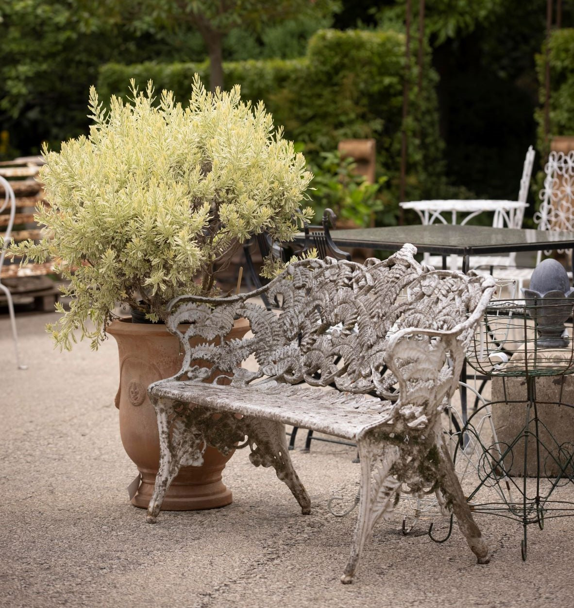 garden furniture - garden bench