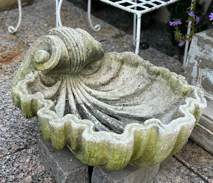Antique Cast Stone Clam Shell - Pair