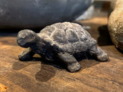 Petite Stone Turtle