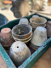 Antique French Terra Cotta and Resin Pot